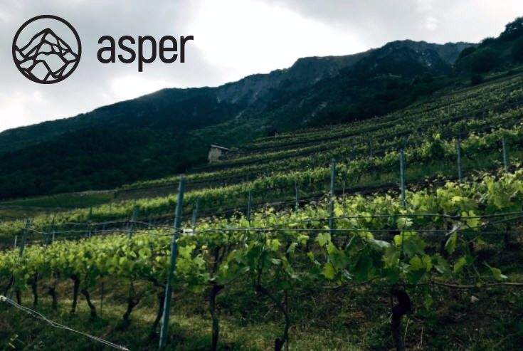 ASPER Wine